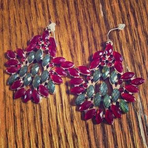Holiday Red and Green Earrings NWOT